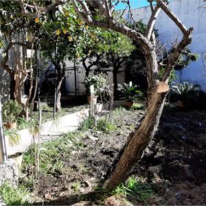 Casa singola In Vendita a Acireale