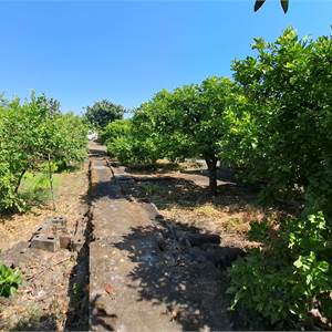Terreno Agricolo In Vendita a Acireale