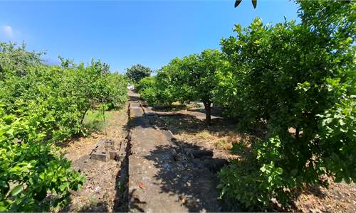 Terreno Agricolo In Vendita a Acireale