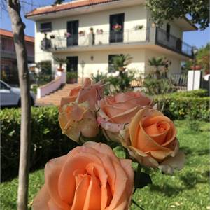 Villa In Vendita a Acireale